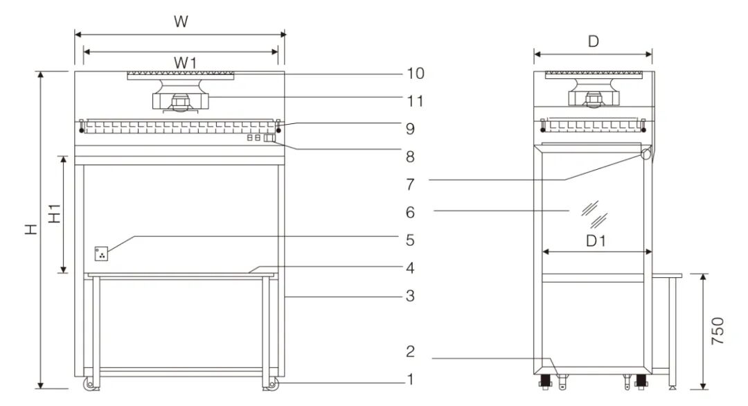 Vertical Flow Clean Bench